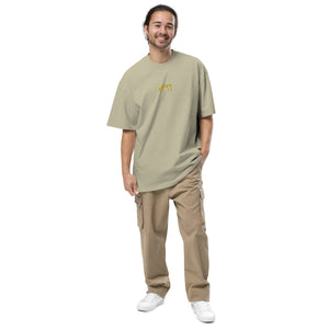 Belfast Collection | Unisex Oversized Faded T-shirt